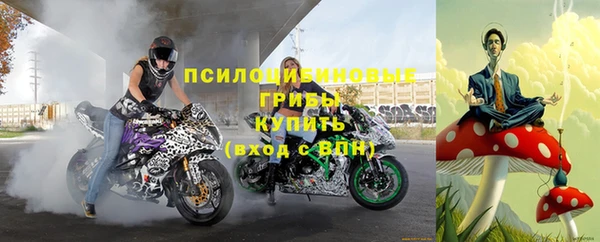 круглые Аркадак