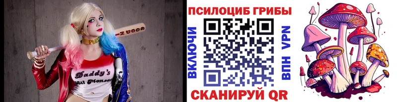 Псилоцибиновые грибы ЛСД  купить закладку  Плёс 
